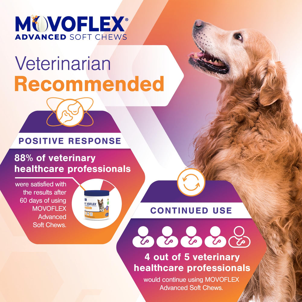 Movoflex: diseñado en EE. UU. para apoyar la salud articular de perros.