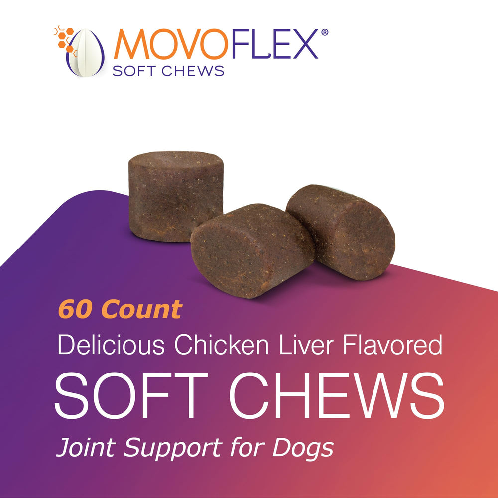 MoVoFlex sabor hígado de pollo, presentación atractiva para consumo diario.