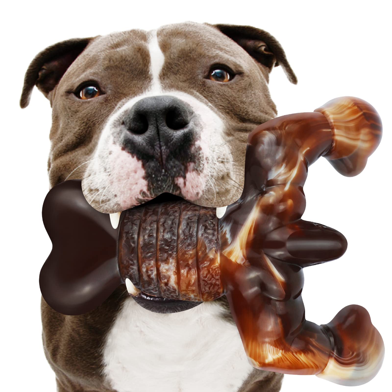 MOXIKIA mordedor langosta resistente con sabor tocino para perros grandes.