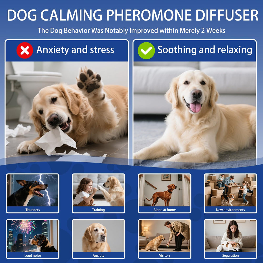 MOYAMUTU kit para hogares con varios perros reduce tensiones y conflictos.