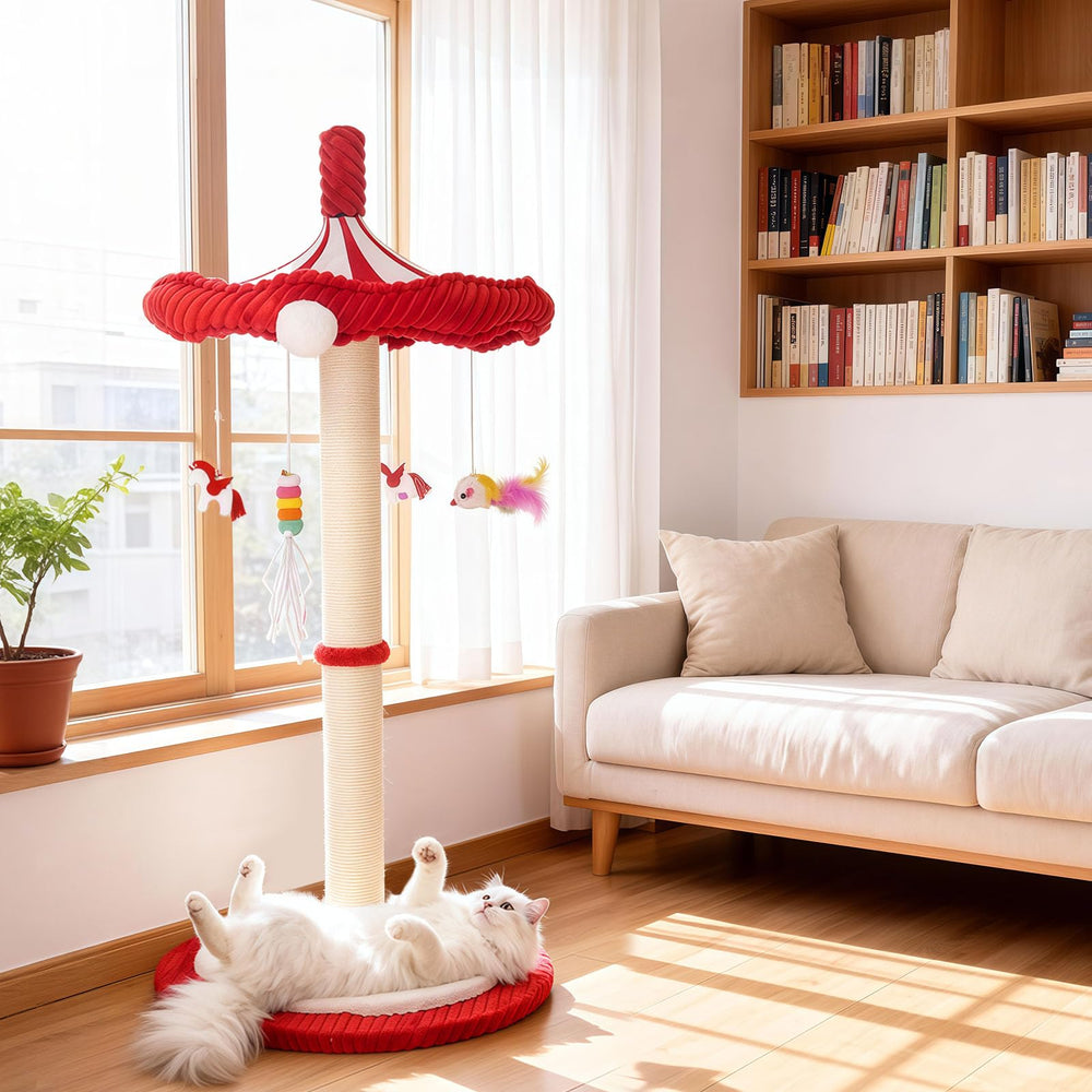 MOYMO Merry-Go-Round ideal para gatitos y adultos en juego continuo.