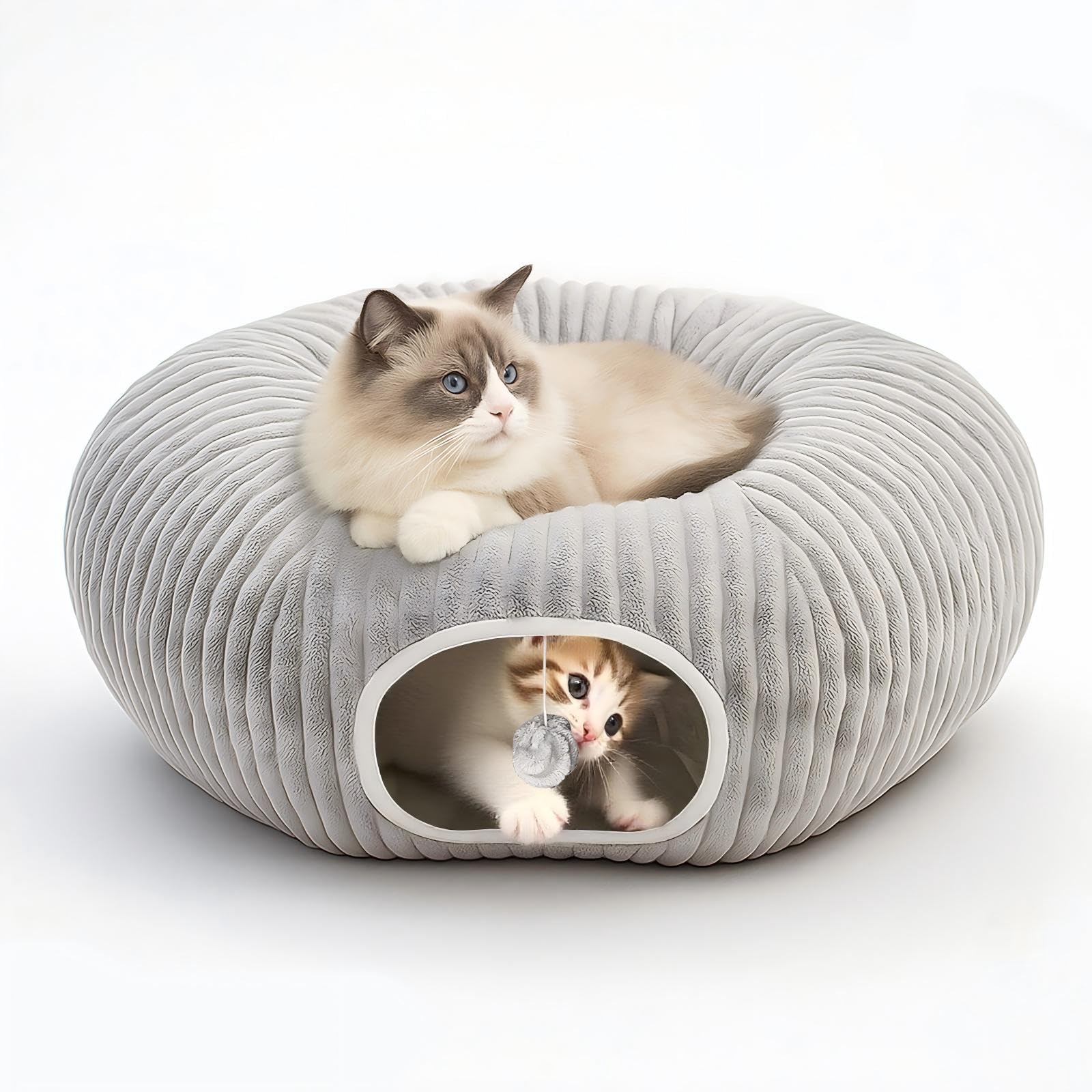 MOYMO túnel de gato en interiores para juego y exploración.