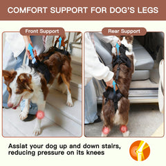 Moysoon Arnés Levantamiento Perro Dorso: soporte estable para alzar con control