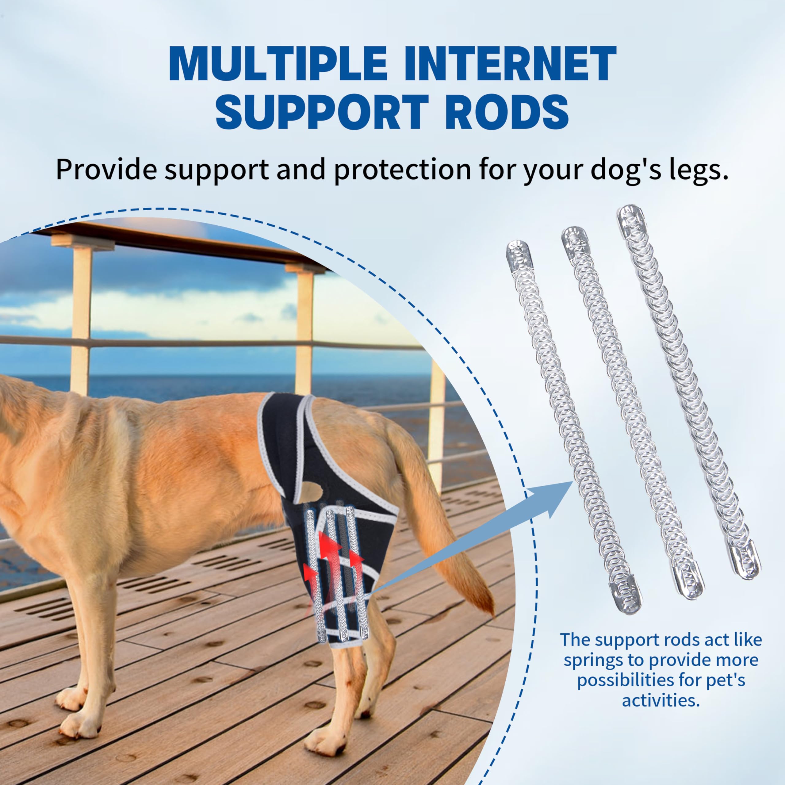 Moysoon diseño fácil de poner mejora la experiencia de paseo del perro