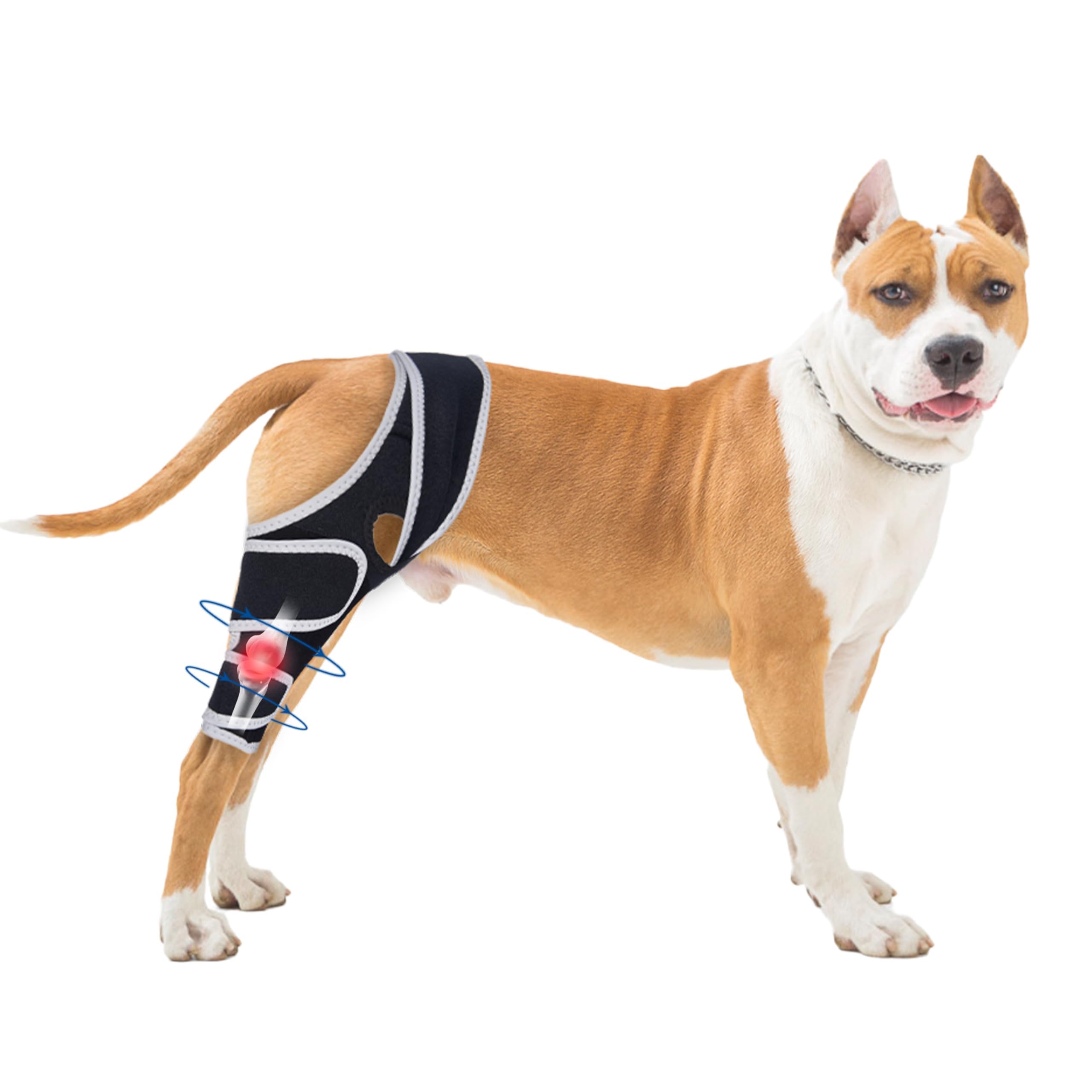 Moysoon rodillera para perro con ajuste cómodo para caminatas diarias.