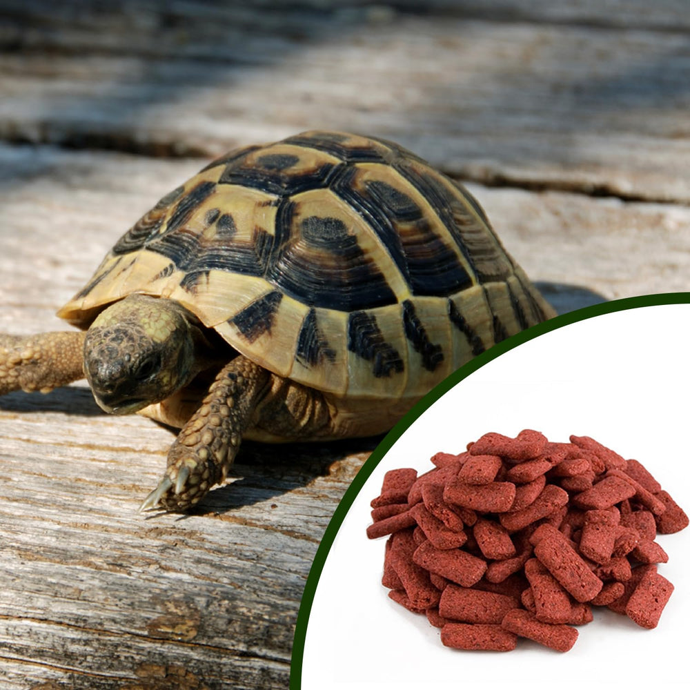 Mozaic para tortugas desérticas: pellets ricos en calcio y omega