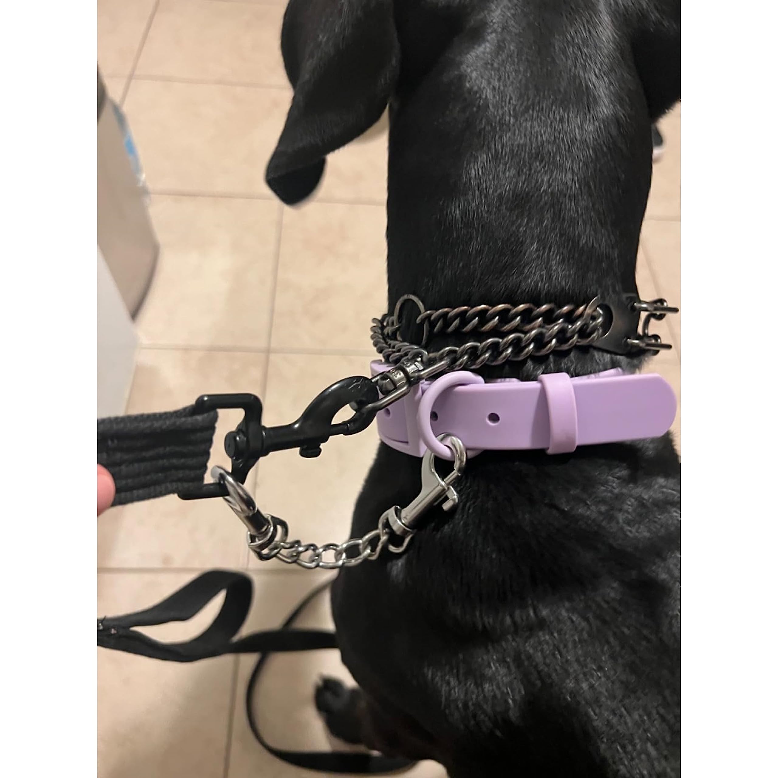 MOZETO clip de collar, talla universal, para todas las razas