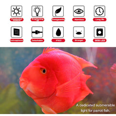 MQ IP68 cristal: luz totalmente a prueba de agua para inmersión.