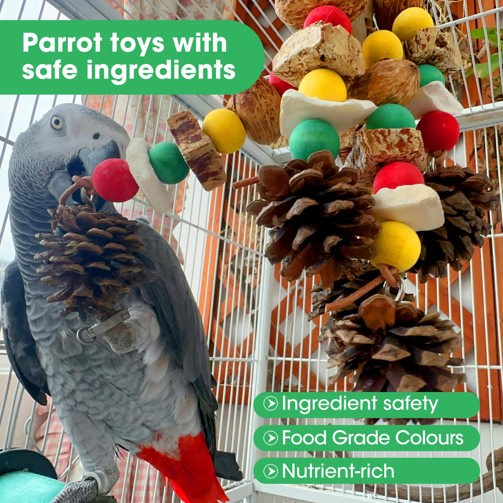 MQUPIN conos de pino para loros, diseño resistente para roer.