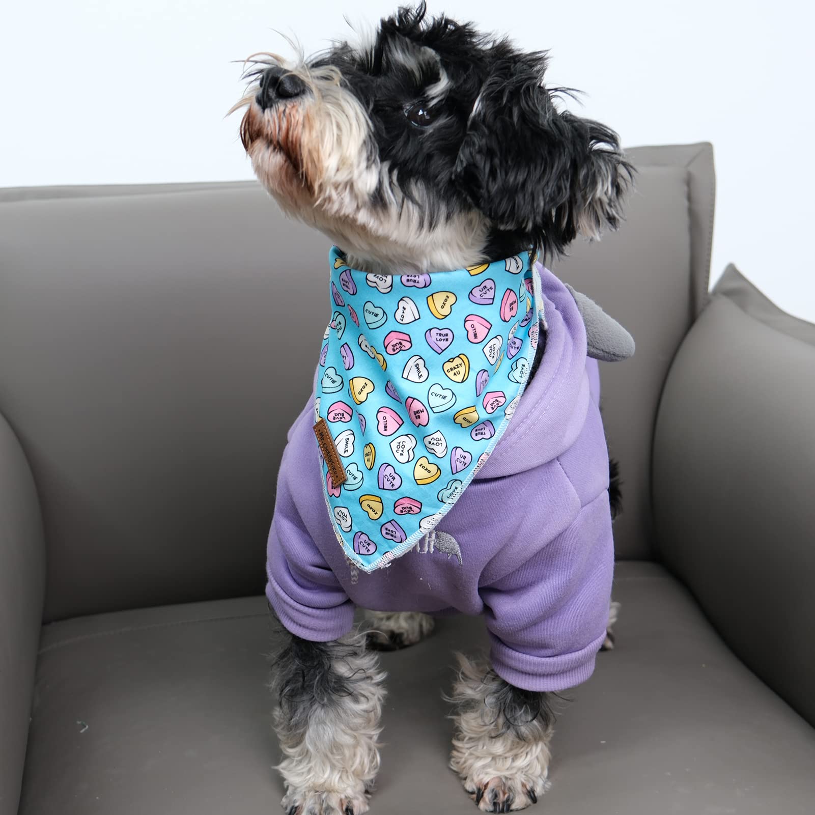 MR. CHUBBYFACE bandana talla grande para perros y gatos.