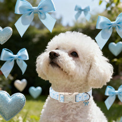 MR.CHUBBYFACE collar con detalle de lazo azul, ideal para ocasiones.