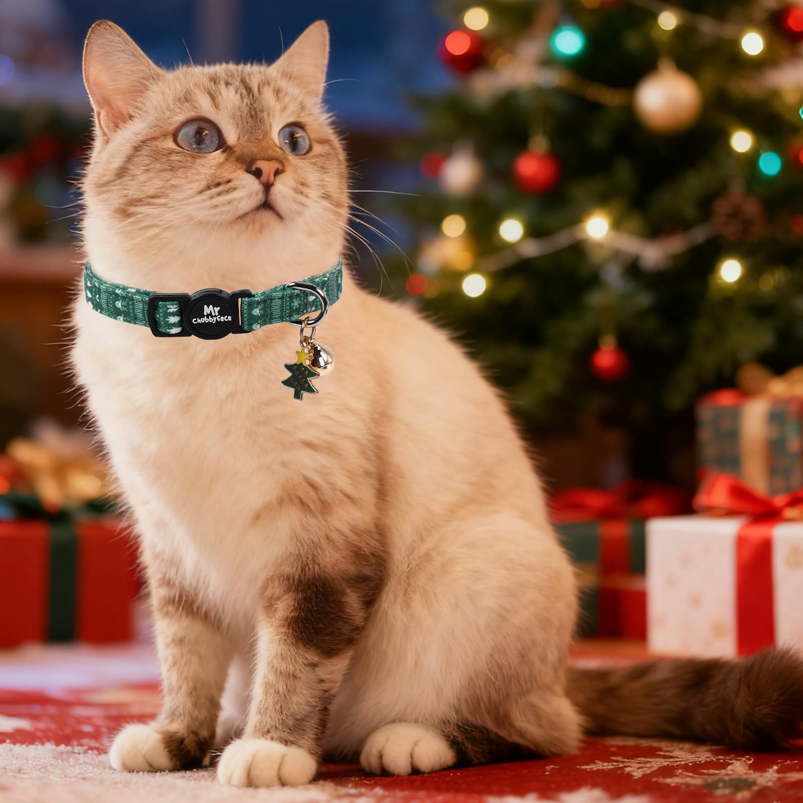 MR.CHUBBYFACE collar ajustable para gatos, perfecto para fiestas y fotos.