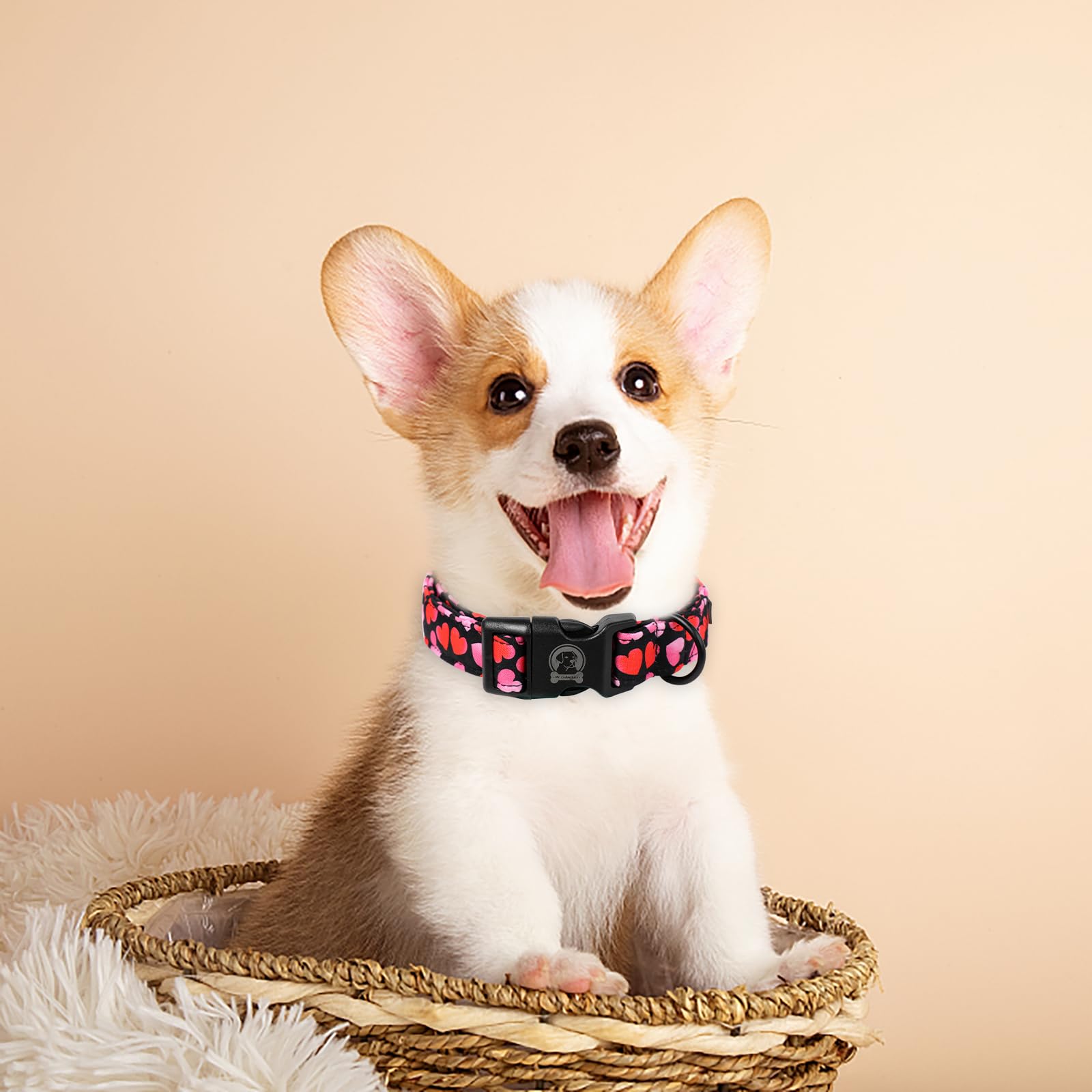 MR.CHUBBYFACE collar con lazo de algodón, tacto suave y aspecto adorable.