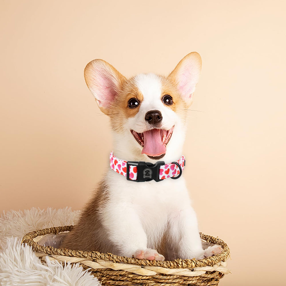 MR.CHUBBYFACE collar valentines corazon blanco, ideal para sesiones de fotos festivas.