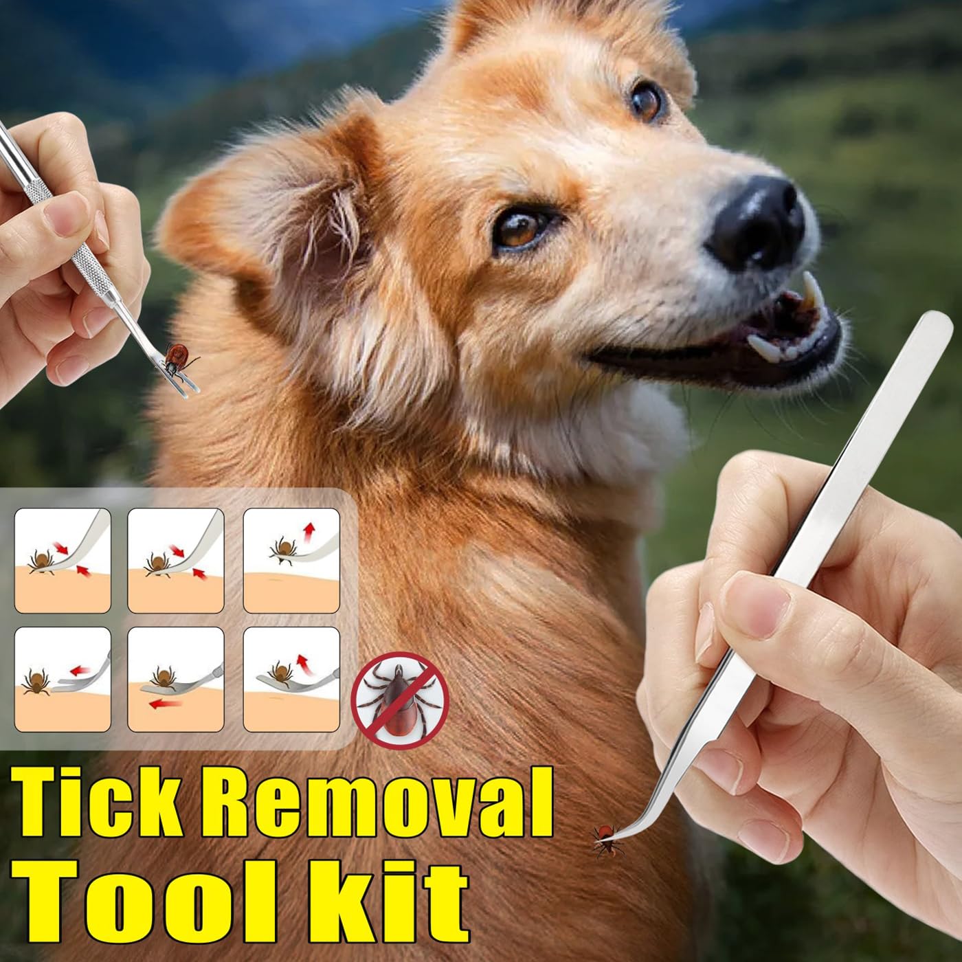 Kit portátil ligero Mrcopetal para llevar en llavero o collar de mascota.