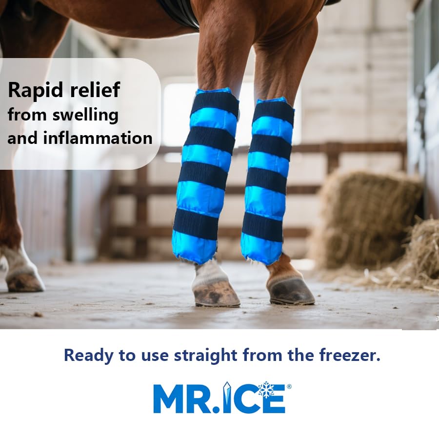 MR.ICE Bota de hielo para caballos, ajuste con correas para un ajuste seguro.