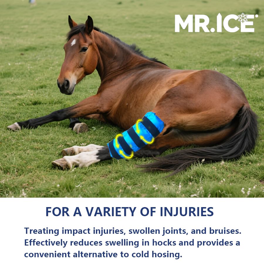 MR.ICE Bota de hielo para caballos, diseño flexible para mayor comodidad.