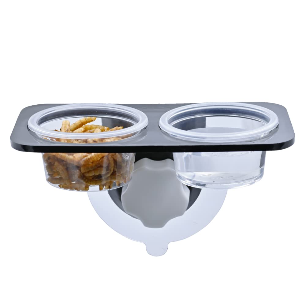 Dimensiones adecuadas para terrarios compactos y alimentación organizada.