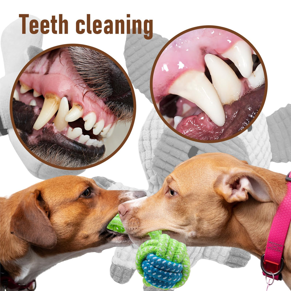 Juguete peluche diseño divertido de Mruq pet para estimular la curiosidad.