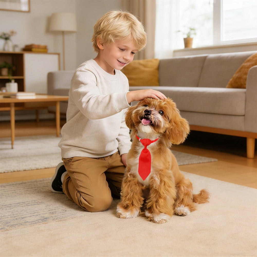 Lazo colorido para perro de Mruq Pet, apto para fiestas y eventos.