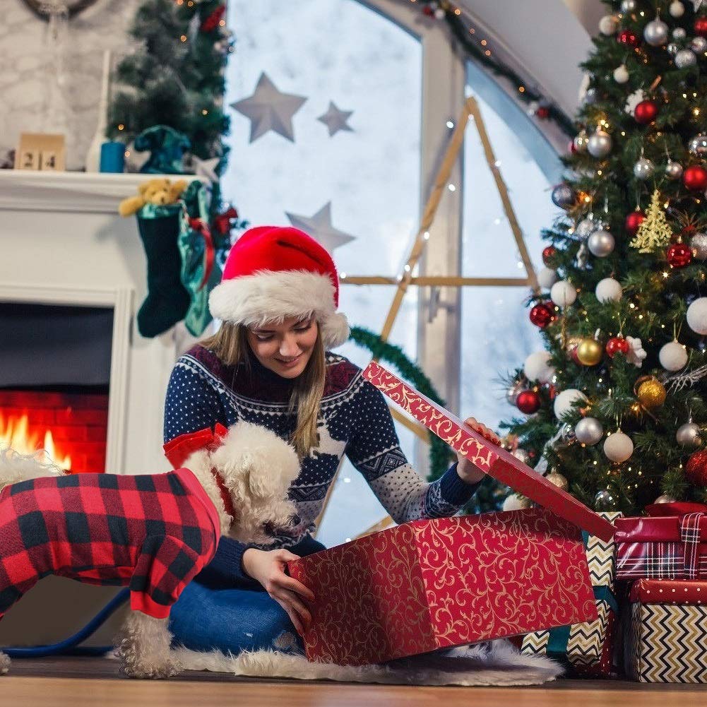 Pijama Mtliepte para perros, ideal para sesiones de fotos festivas.