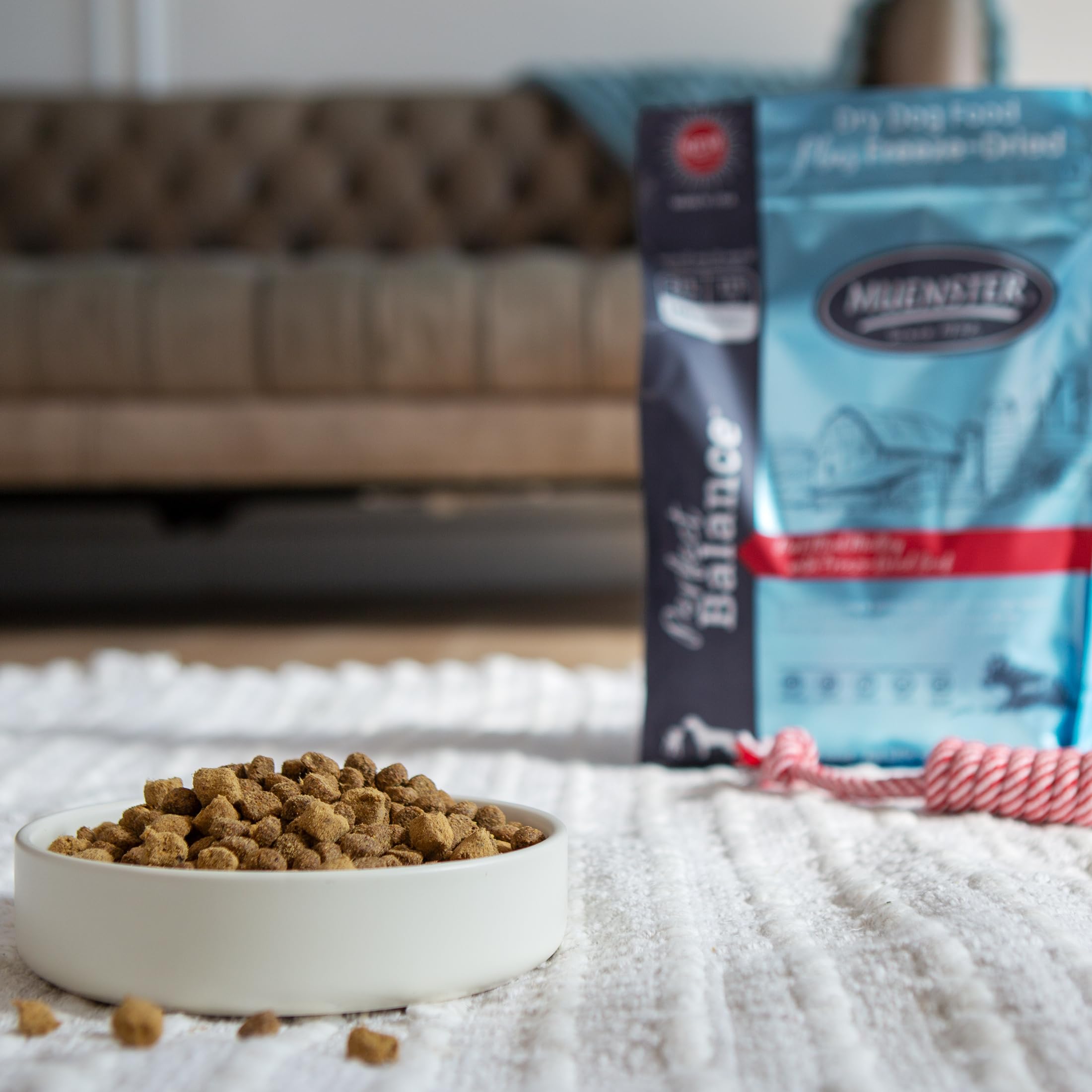 Mezcla crujiente de croquetas y trozos en Muenster Perfect Balance para perro activo.