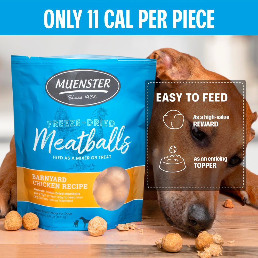 Muenster sin-gluten: opción apta para perros con sensibilidad.