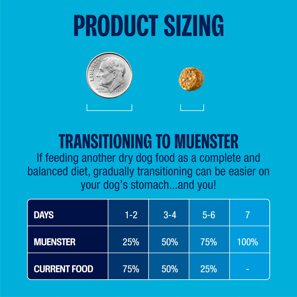 Muenster, tazón de comida mostrando porciones para perros pequeños.
