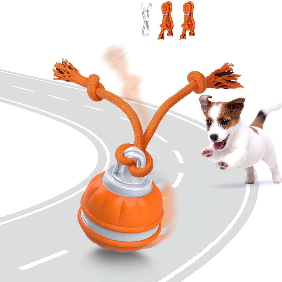 Muhhiba bola interactiva para perros pequeños, rodando con cuerda para juego activo.