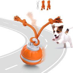 Muhhiba bola interactiva para perros pequeños, rodando con cuerda para juego activo.