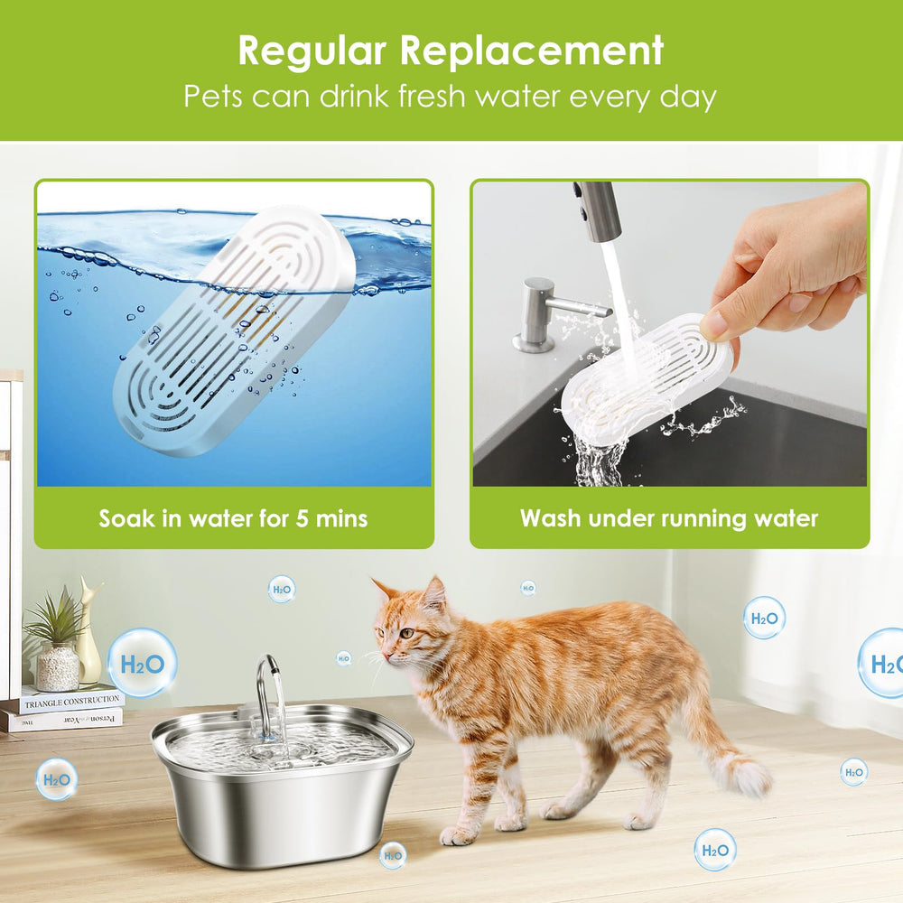 Agua fresca diaria para mascotas con filtros Mukkela