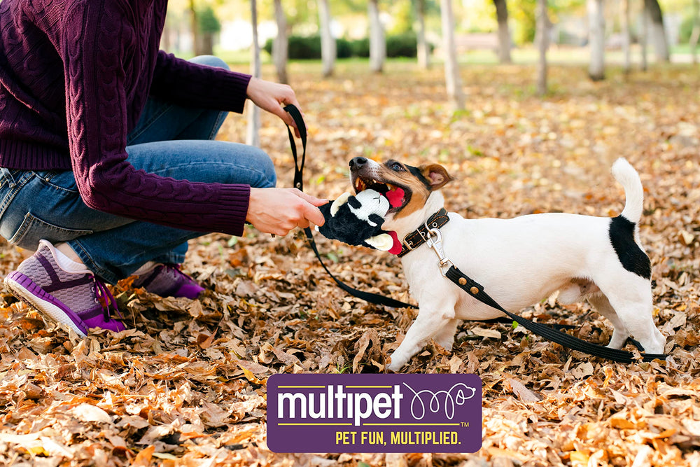 Multipet Lamb Chop mini negro, tacto suave para abrazos reconfortantes.