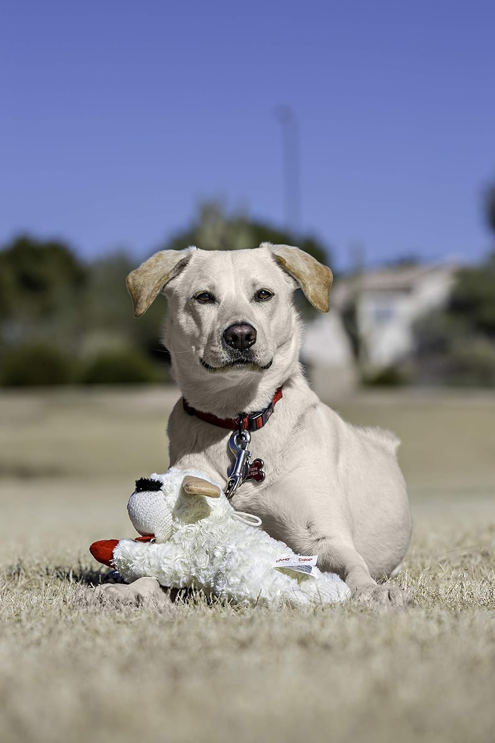 Multipet Lamb Chop peluche suave para acurrucarse.