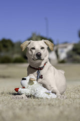 Multipet Lamb Chop peluche suave para acurrucarse.