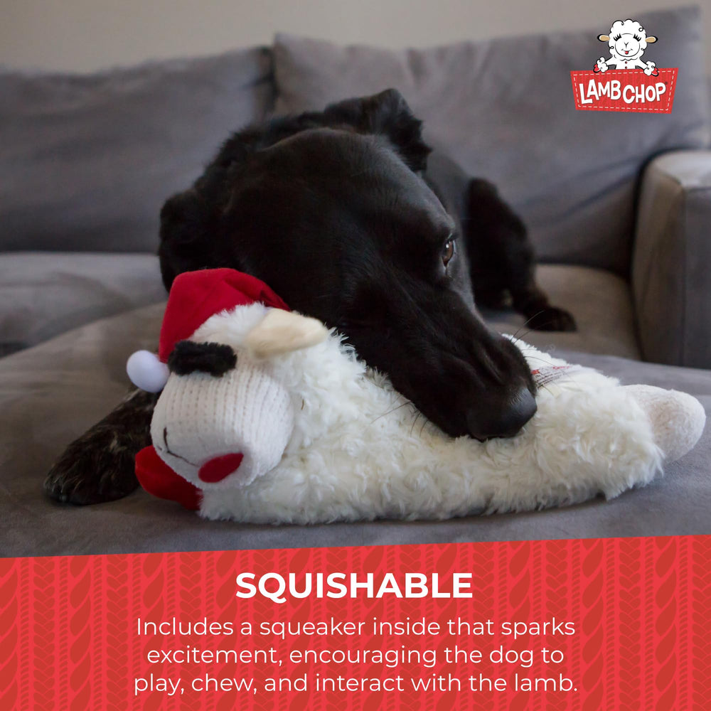 Multipet Lamb Chop para abrazar, compañero cálido para perros.