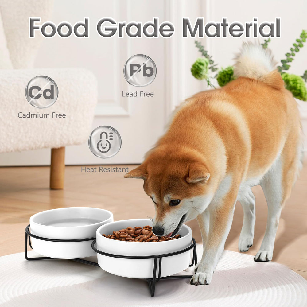 Cuenco cerámico de agua MultiOutools para mascotas, fácil de limpiar.