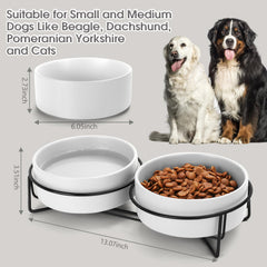 Cuenco cerámico de alimento MultiOutools para perros y gatos.