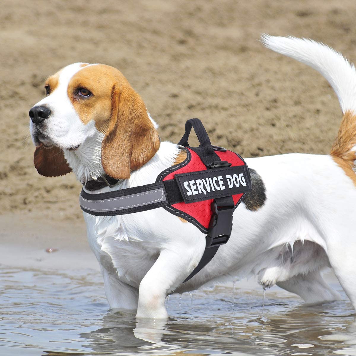 MUMUPET arnés servicio perro diseño sin tirón distribuye la presión para paseos suaves.