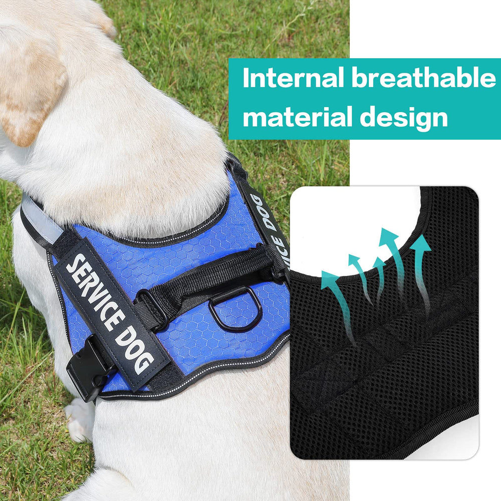 Correas reflectantes de MUMUPET para visibilidad en la oscuridad