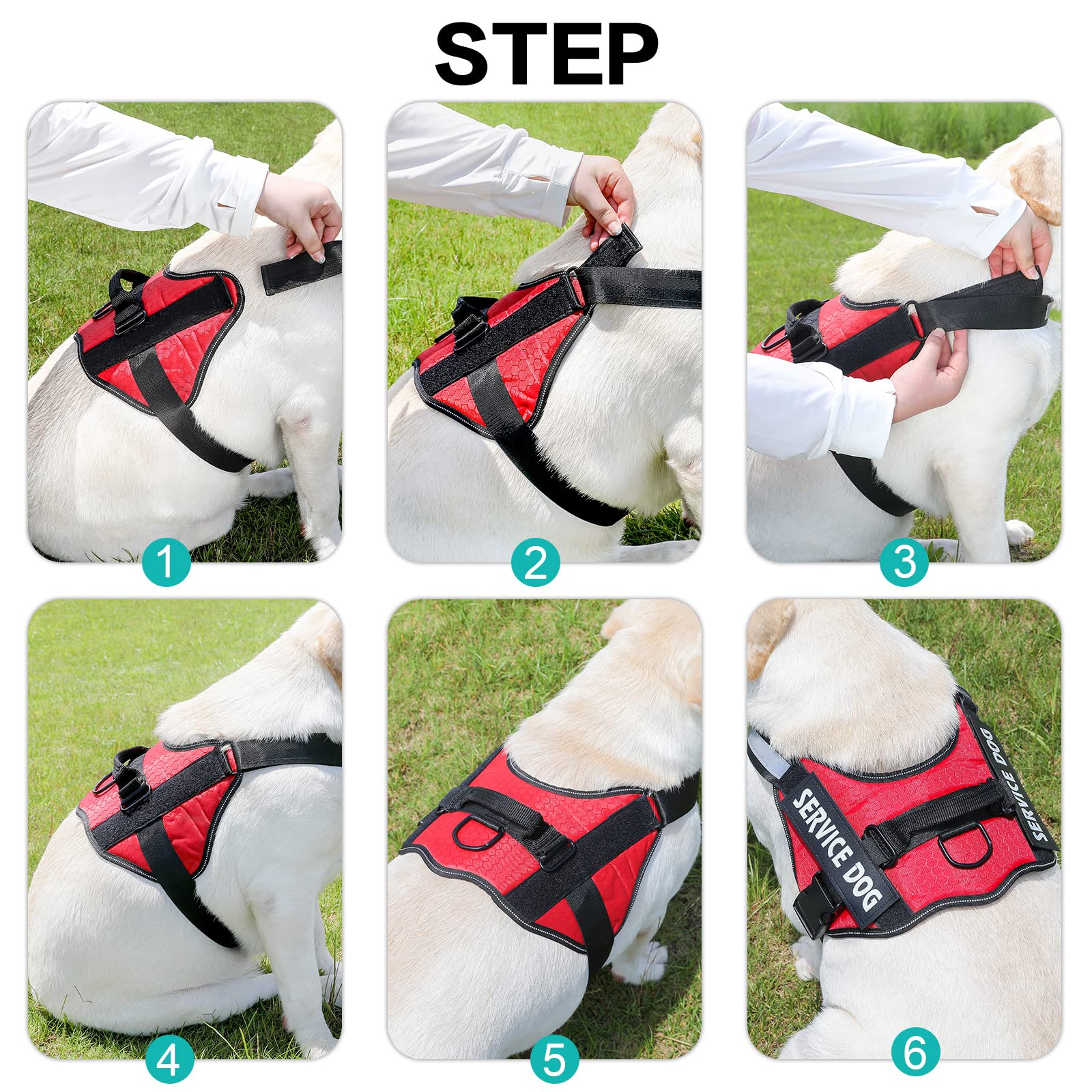 Arnés de nylon MUMUPET, resistente para perros de todas las tallas.