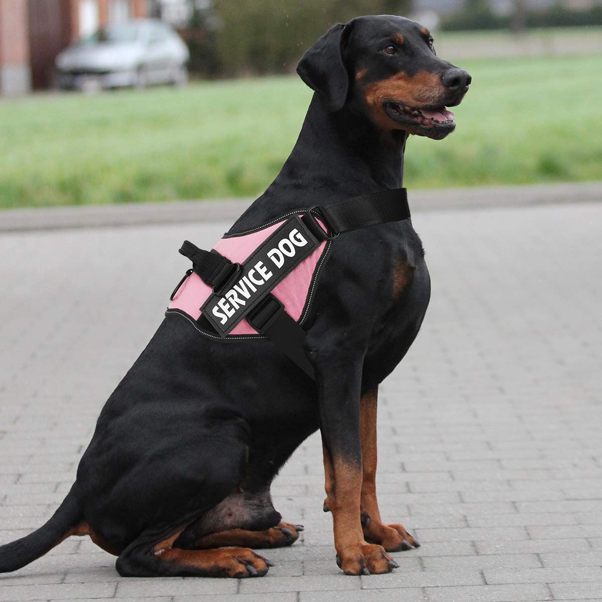 Acolchado suave evita rozaduras para paseos prolongados con MUMUPET