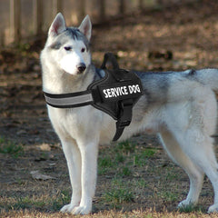 Arnés MUMUPET con reflectante 3M para mayor visibilidad nocturna.