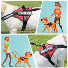Diseño reflectivo para seguridad nocturna durante entrenamiento al aire libre.