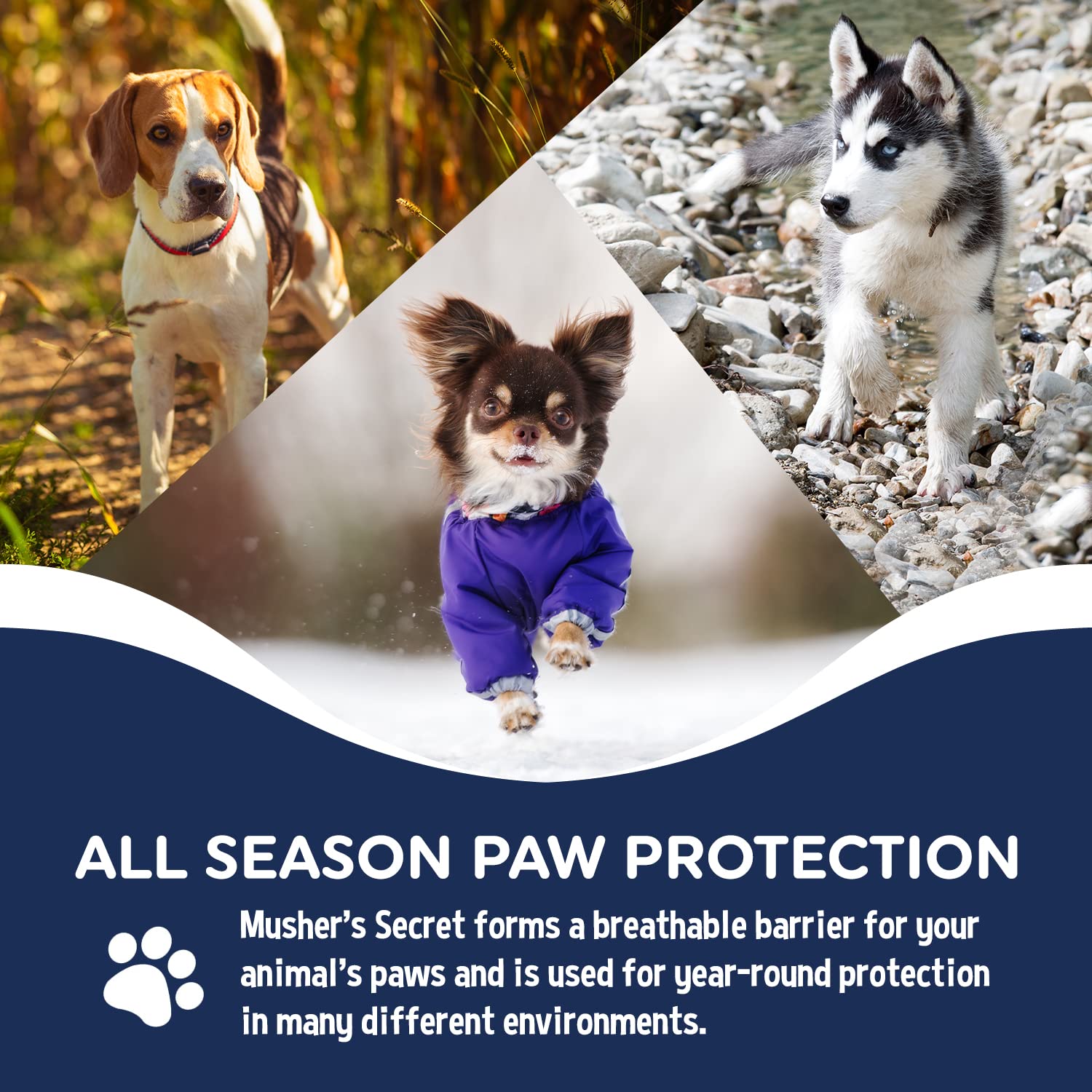 Protección todo el año para patas de perro con Musher's Secret