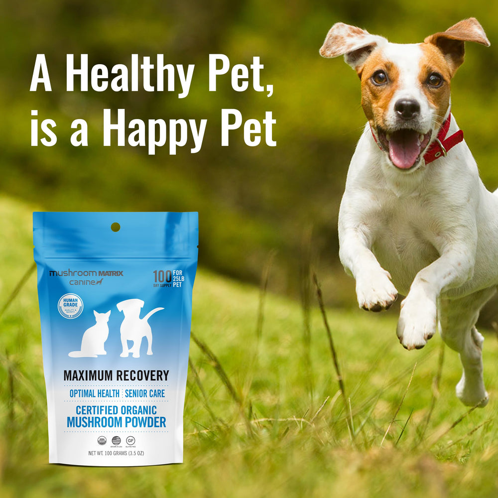 Envase práctico Mushroom Matrix Canine para mascotas en casa.
