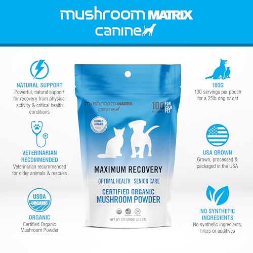 Pote de 100 g de Mushroom Matrix Canine para uso diario.
