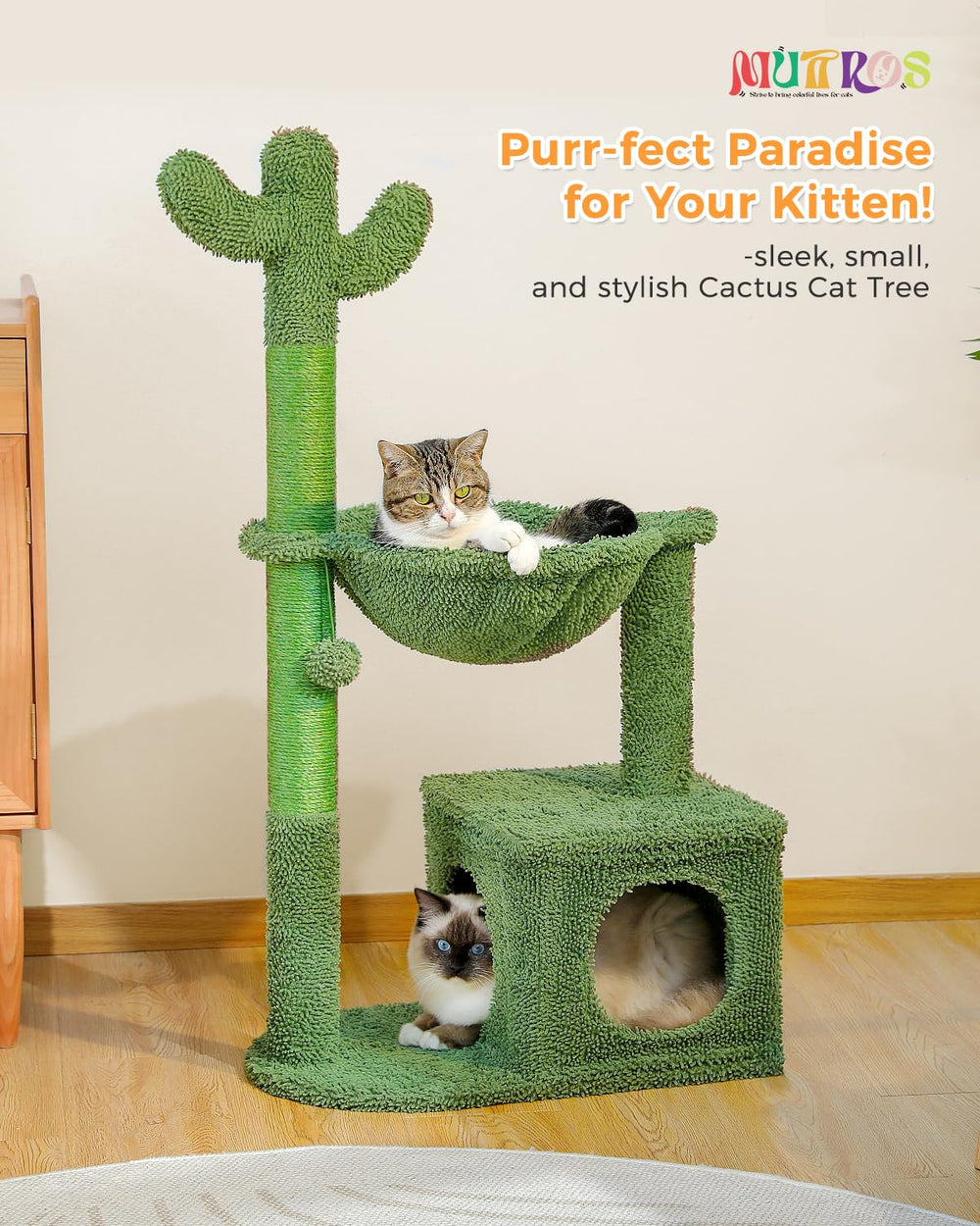 MUTTROS Árbol cactus para gatos con poste sisal para arañar y uñas sanas.