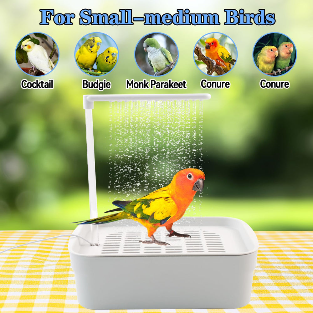 MUYG baño para conures y periquitos, espacio cómodo.