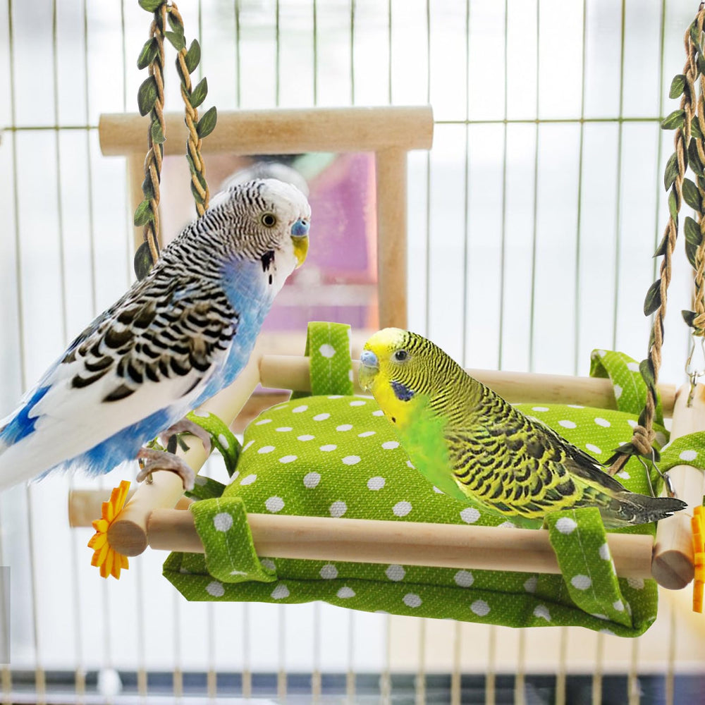MUYG entretenimiento plataforma: juego y escalada para aves pequeñas.