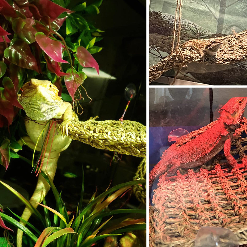 MUYG enredadera flexible para decorado, crea refugio para reptiles.